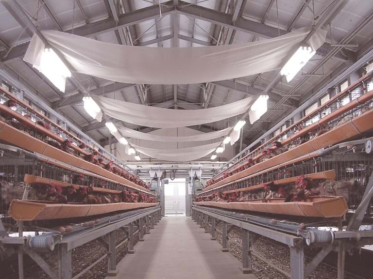 Deodoratex installed in a poultry shed